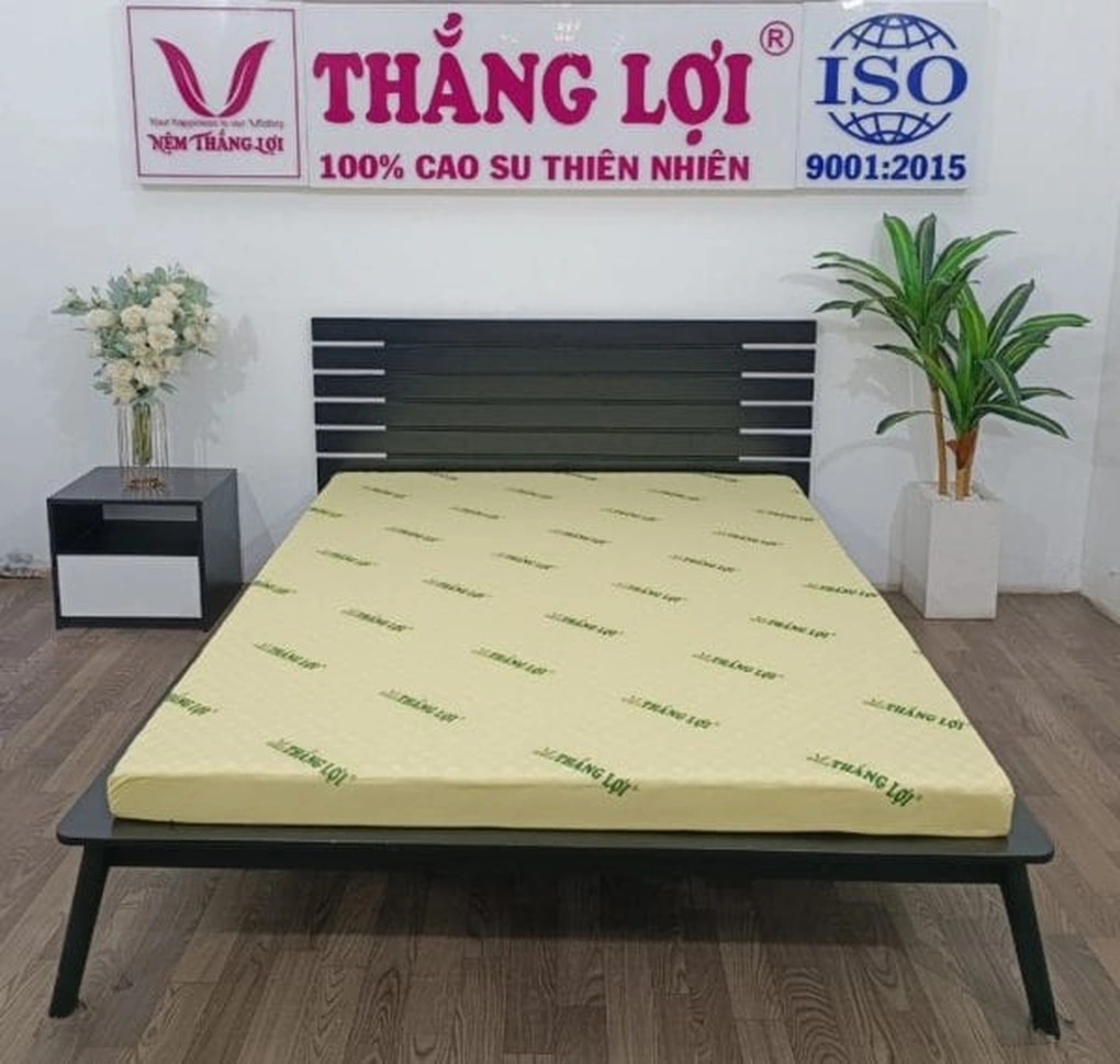 Top 3 nệm cao su non Thắng Lợi được ưa chuộng hiện nay - 1