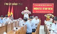 Đề nghị kỷ luật nữ chủ tịch huyện liên quan vụ bị lừa 171 tỷ đồng