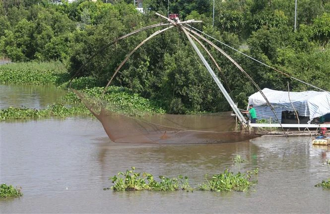 Trong ba năm, tỉnh An Giang có gần 32.900 hộ thoát nghèo ảnh 1