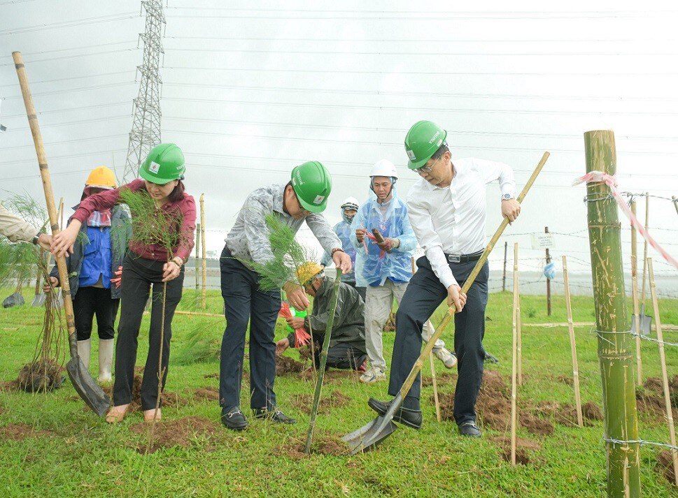 PetroVietnam đẩy mạnh trồng cây xanh là giải pháp quan trọng trong chuyển dịch năng lượng