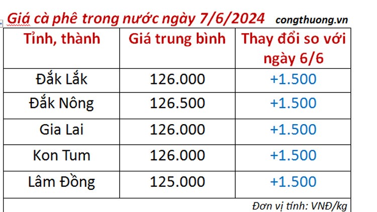 Giá cà phê hôm nay ngày 7/6/2024: