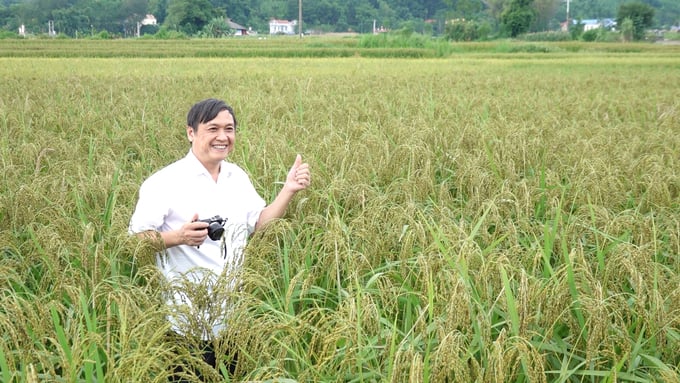 Vùng nếp vải Ôn Lương tại huyện Phú Lương (Thái Nguyên). Ảnh: Quang Linh.