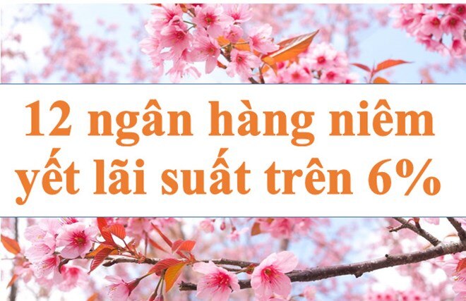 Lãi suất ngân hàng hôm nay 20.7: 12 ngân hàng trên 6%