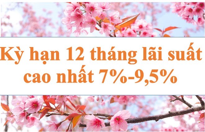 Lãi suất ngân hàng hôm nay 21.7: 12 tháng cao nhất 7-9,5%