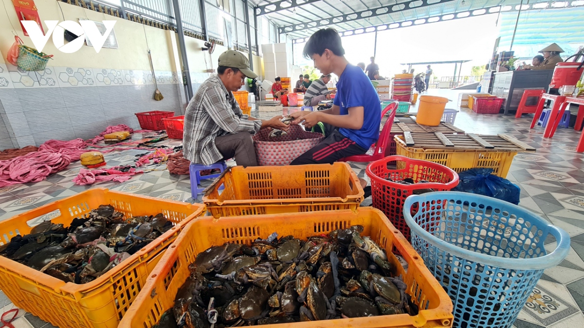 ca mau bac thong tin xuat khau cua gian doan do gap kho van chuyen hinh anh 2