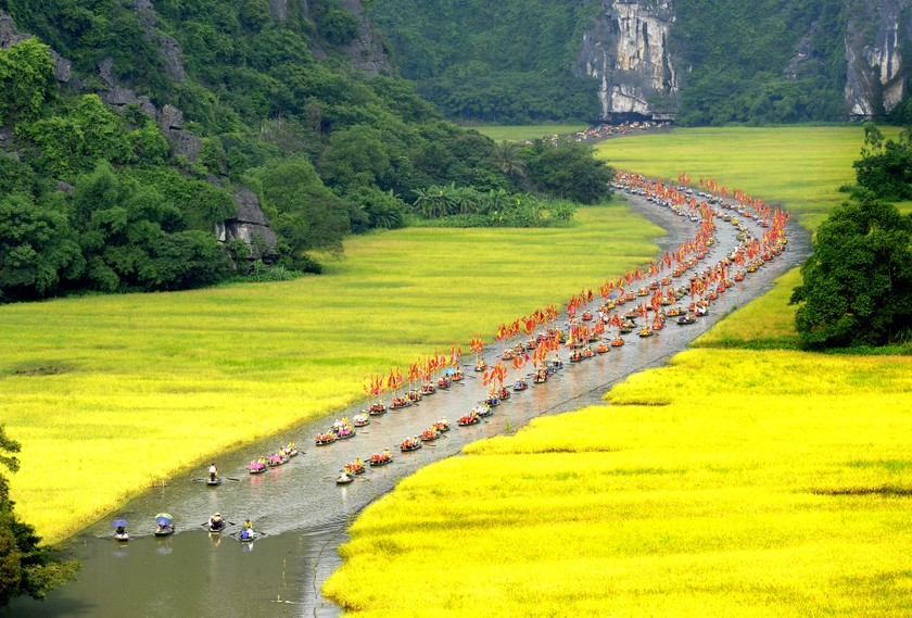 Sắc vàng Tam cốc.