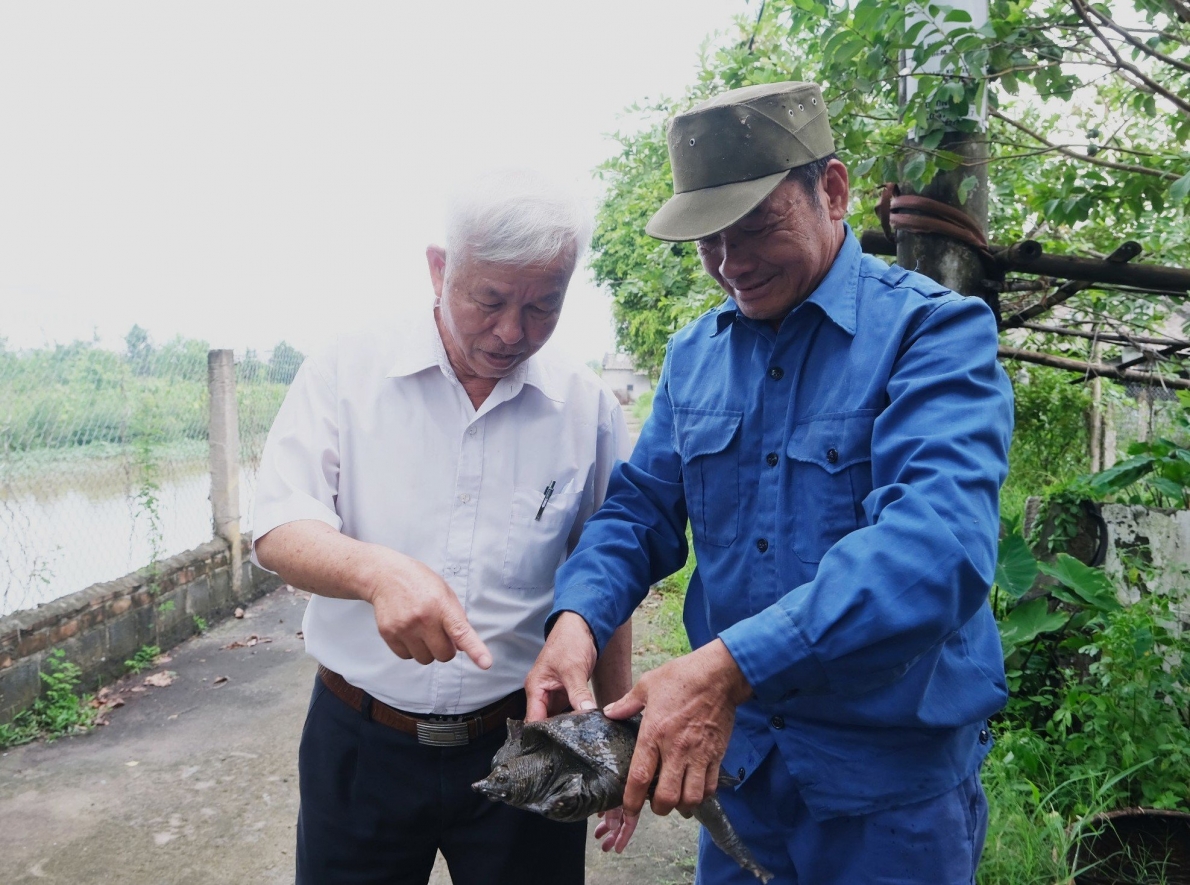 Phong trào xây dựng “Gia đình văn hóa” trên quê hương “năm tấn”