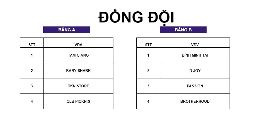 Kết quả bốc thăm chia bảng giải Pickleball Thanh Niên lần I 2024 - Cúp VINFAST- Ảnh 7.