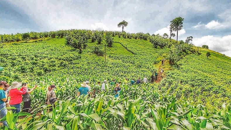 Công viên địa chất Đắk Nông: Viên ngọc ẩn mình giữa núi rừng Tây Nguyên