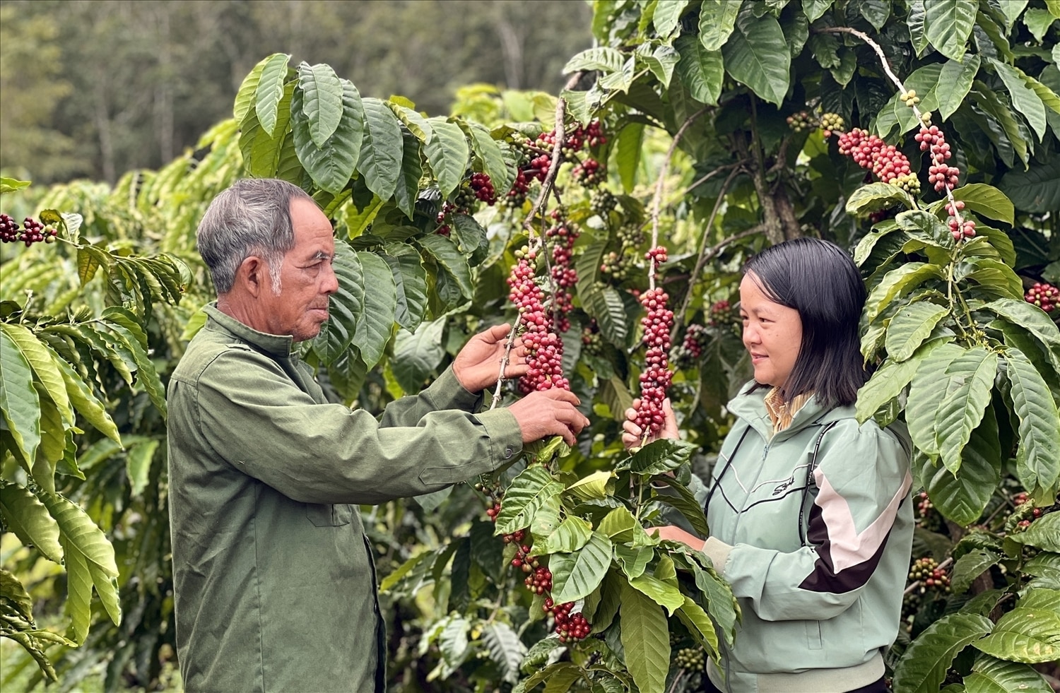 Việc thực hiện các Chương trình MTQG đã góp phần thay đổi diện mạo nông thôn, đời sống Nhân dân ngày càng được nâng cao