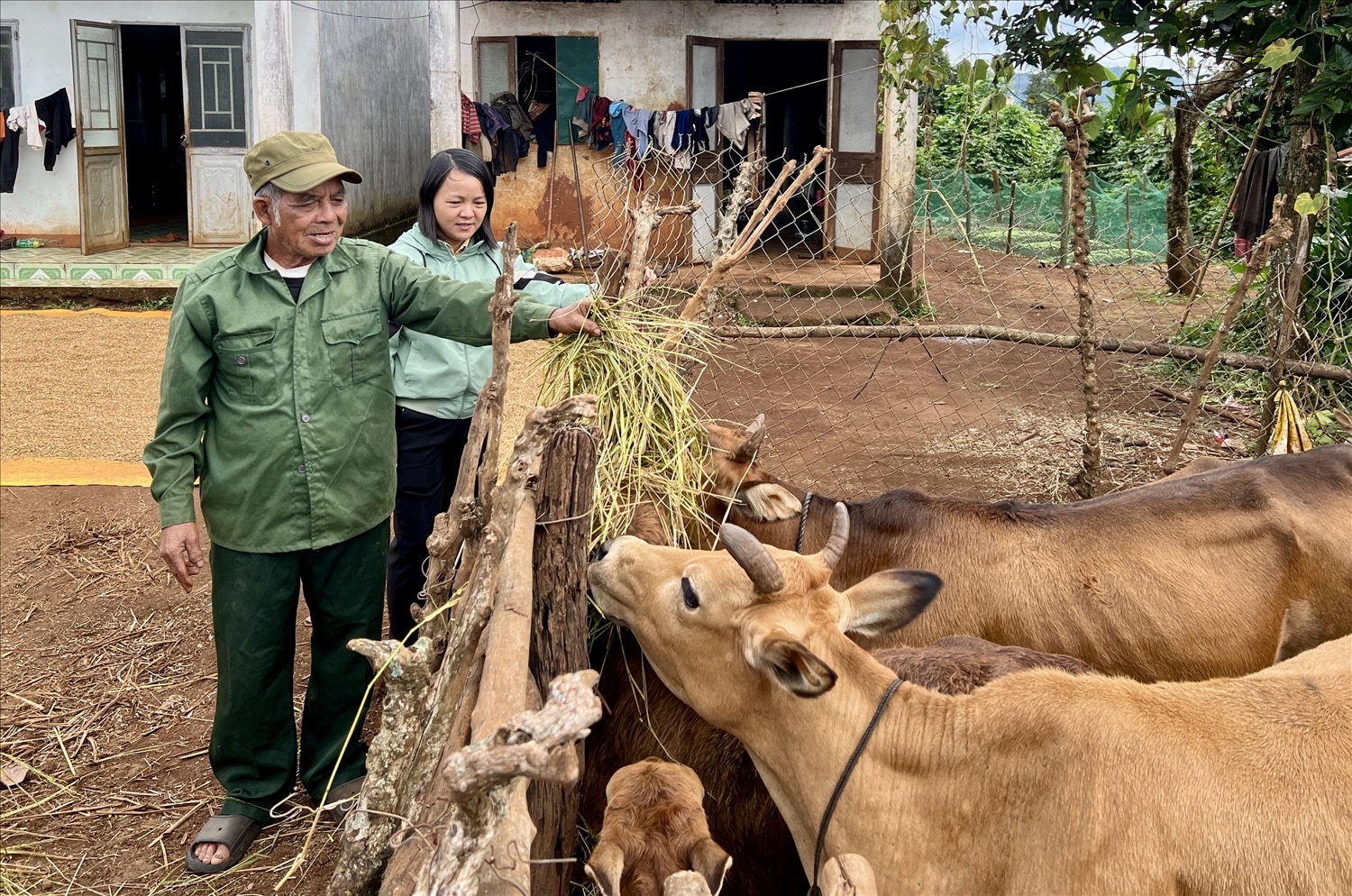 Từ nguồn hỗ trợ của Chương trình MTQG, gia đình ông Im đã thoát nghèo bền vững