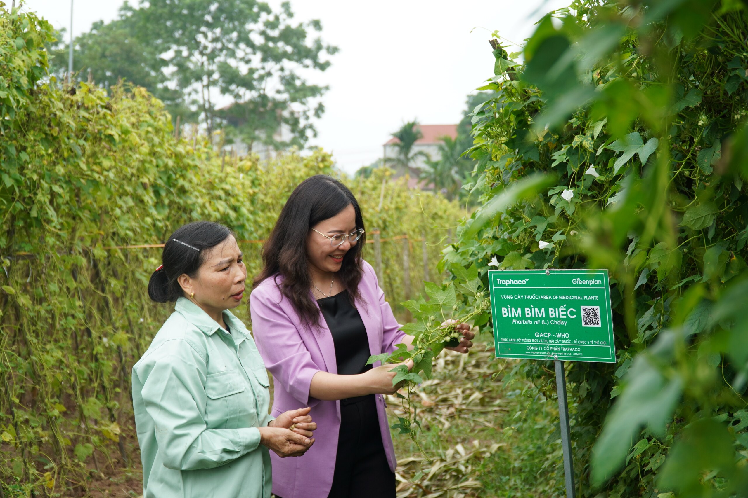 Xu hướng sống Xanh, nhiều người tìm dùng sản phẩm sức khỏe thân thiện môi trường- Ảnh 3.