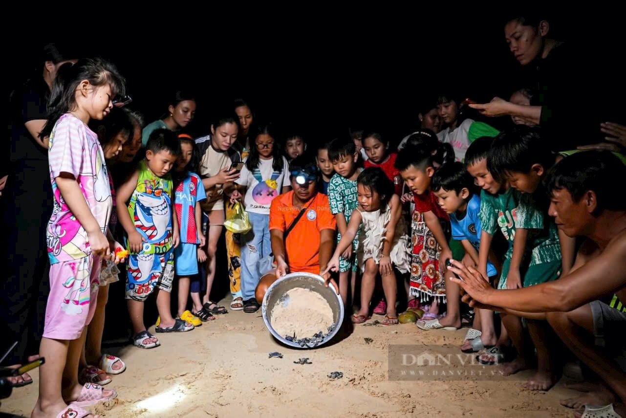 Ban đêm, dân làng ở Bình Định đi xem vô số quả trứng nở ra một loài động vật hoang dã ngộ nghĩnh- Ảnh 4.