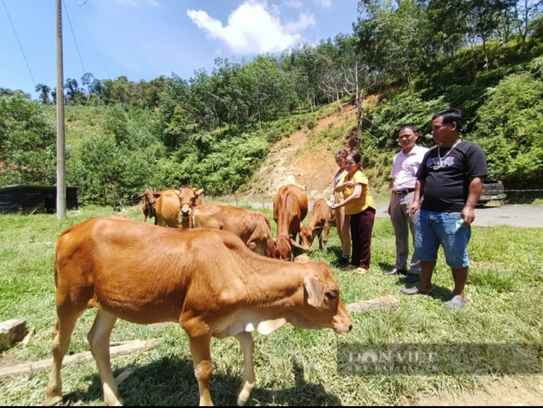 Có cây cầu xây 7 năm không xong, Quảng Nam lập 5 tổ công tác gỡ khó cho 3 chương trình mục tiêu quốc gia- Ảnh 2.