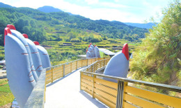 filipínský arekový ořech jpeg 1643 7052 3051 1643089000.jpg