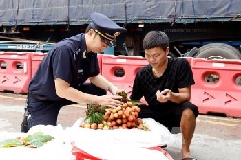 Thắt chặt hợp tác thương mại giữa Việt Nam với Lào và Campuchia