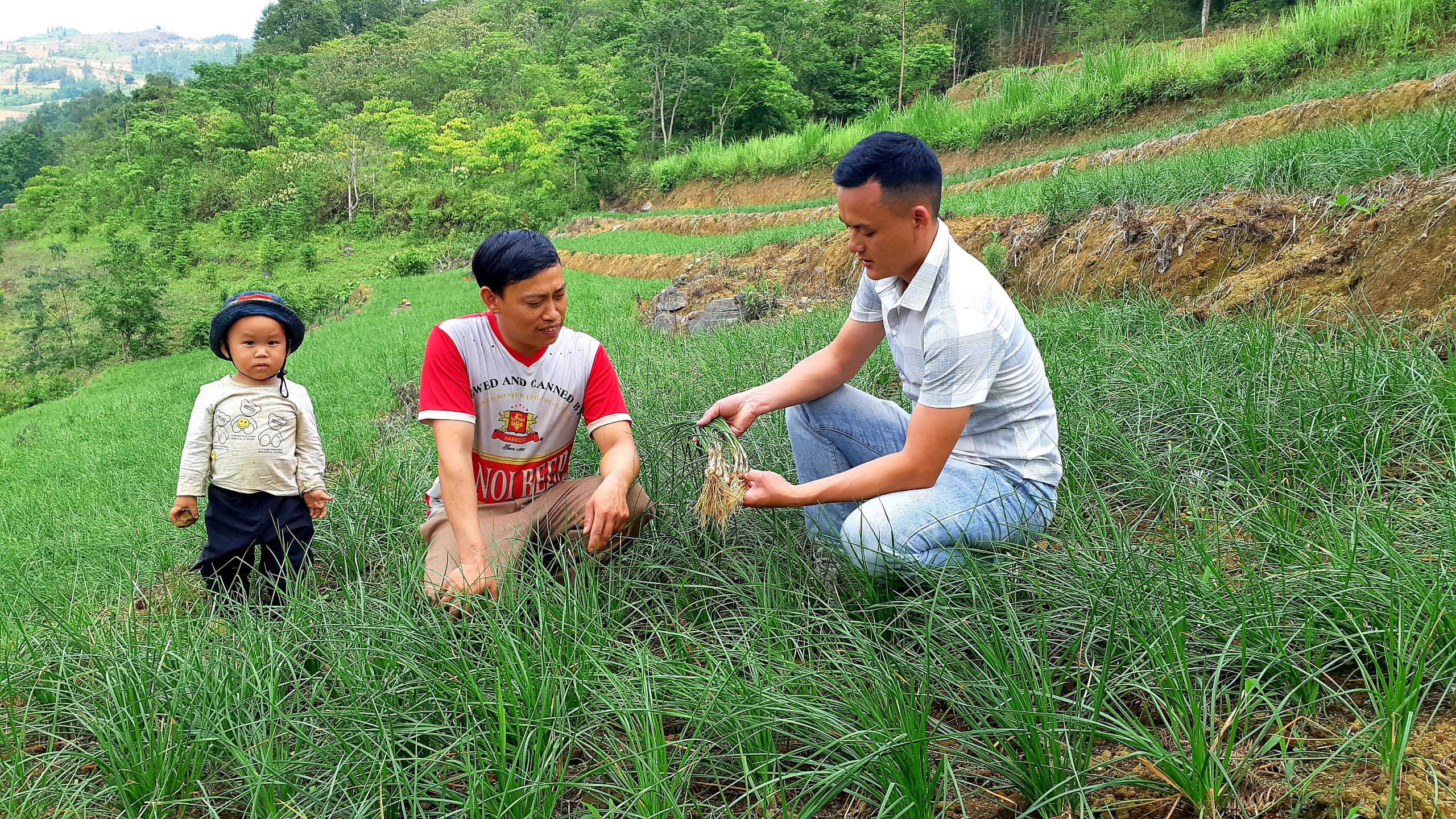 Hà Giang: xuất khẩu thêm 15 tấn nông sản sang Nhật Bản- Ảnh 4.