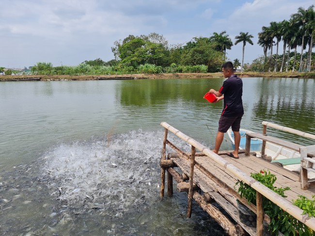 Xuất khẩu cá tra, vật nuôi chủ lực của Việt Nam phục hồi mạnh, nhu cầu cao đến từ thị trường tỷ dân- Ảnh 2.