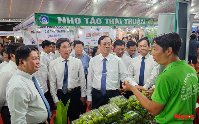 Khai mạc "Ngày văn hóa, du lịch Ninh Thuận tại Đà Nẵng năm 2024" - Ảnh 7.