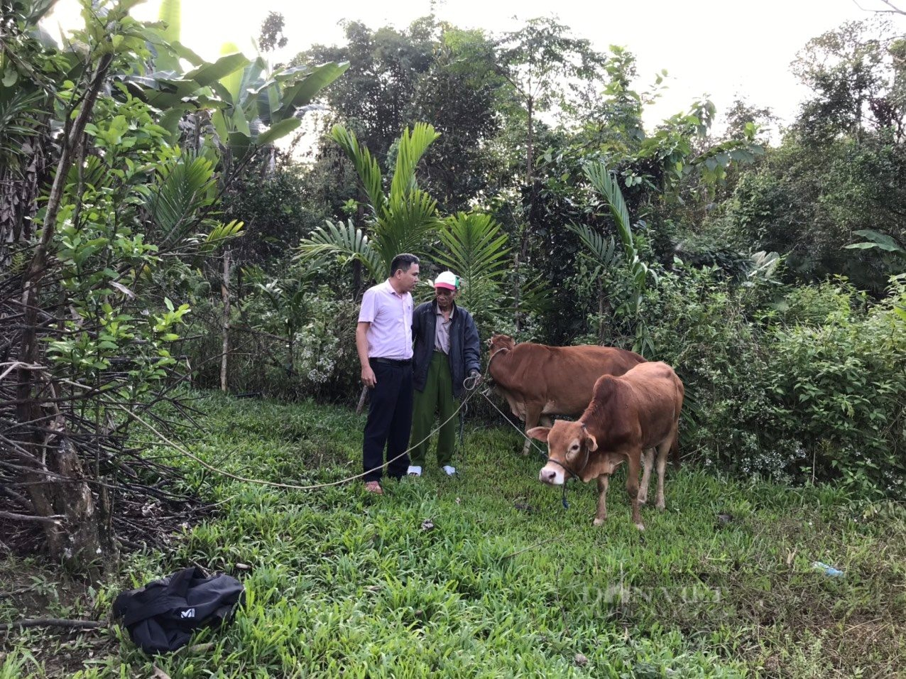 Nông thôn mới huyện Nam Giang của Quảng Nam đạt nhiều kết quả phấn khởi nhờ điều này- Ảnh 6.