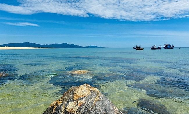 Người ta đang kéo đến đầm Trà Ổ đầm nước ngọt tự nhiên có cá chình mun đặc sản Bình Định- Ảnh 2.