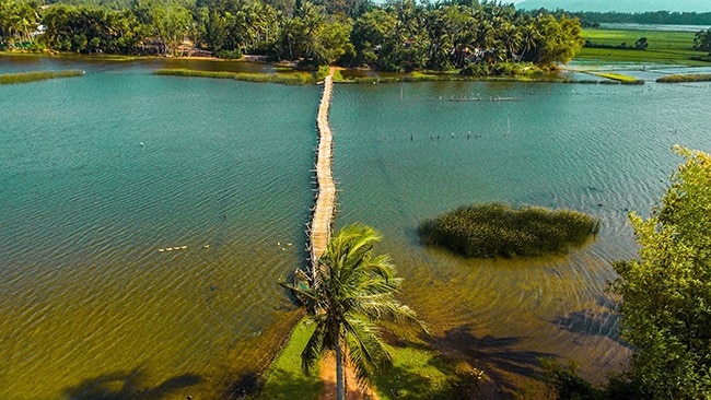 Người ta đang kéo đến đầm Trà Ổ đầm nước ngọt tự nhiên có cá chình mun đặc sản Bình Định- Ảnh 3.