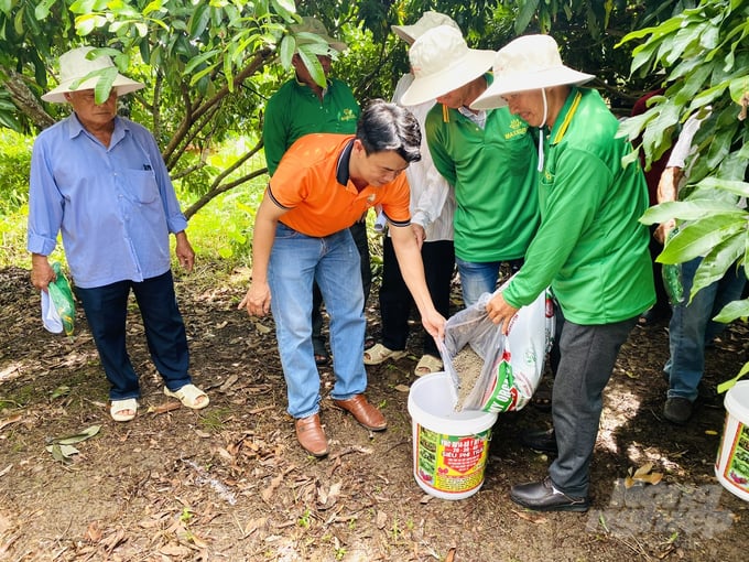 Nhà vườn sử dụng phân bón hữu cơ vi sinh giúp cải thiện sức khỏe đất, cây trồng và cho ra sản phẩm đảm bảo chất lượng.  Ảnh: Lê Hoàng Vũ.