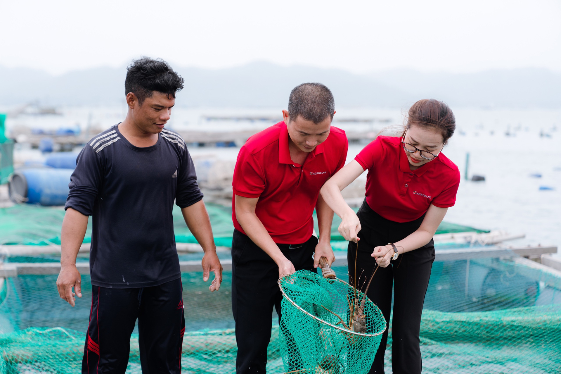 agribank dong hanh thao go kho khan day manh cung ung von nen kinh te hinh 4