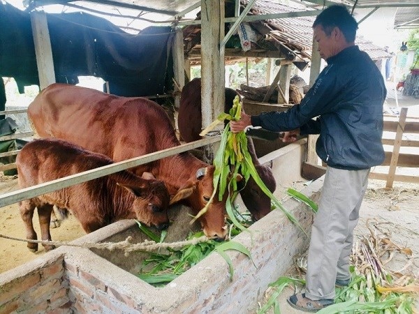 Hà Nội tiếp tục dành các nguồn lực nhằm giảm nghèo bền vững. Ảnh: Thanh Tâm