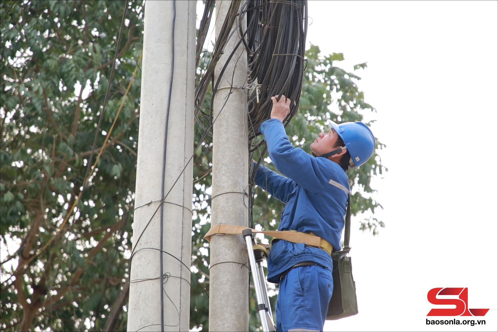 Bắc Yên - Sơn La nỗ lực chuyển đổi số- Ảnh 4.