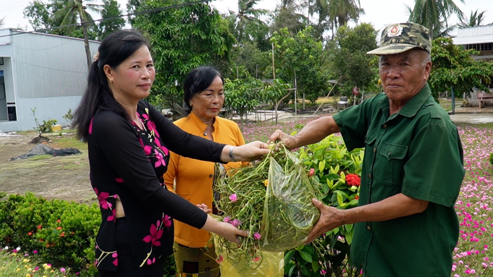 Mê mẫn với cánh đồng hoa mười giờ rộng hàng nghìn m2 là nơi “sống ảo” của người dân Cà Mau- Ảnh 12.