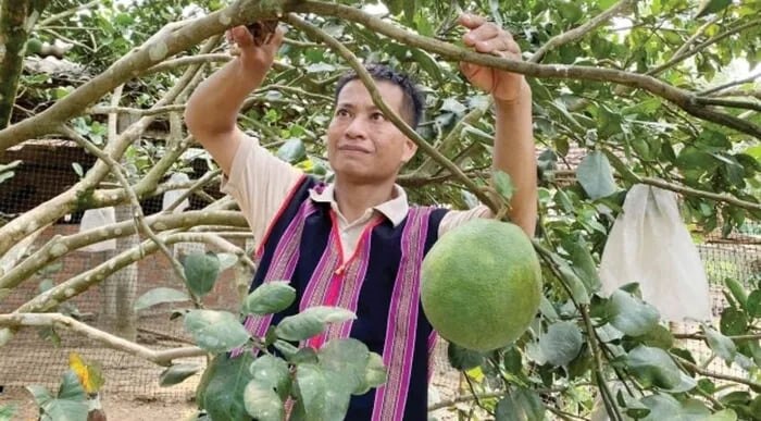 (Bài KH): Nam Đông (Thừa Thiên Huế): Chương trình MTQG 1719 Thức đẩy đời sống dân sinh vùng DTTS 1