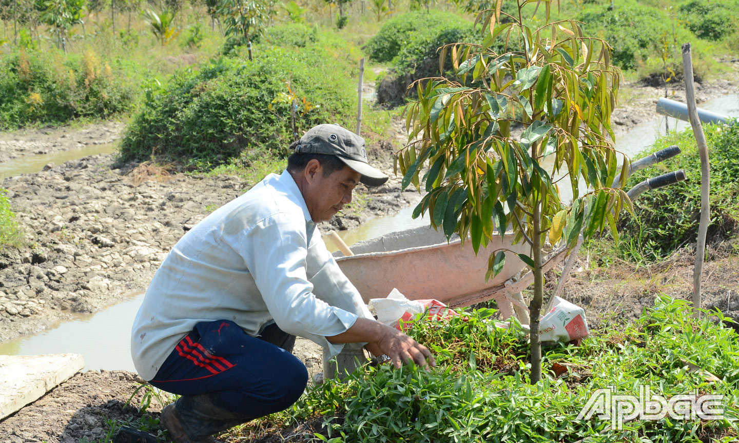 Loại trái cây 