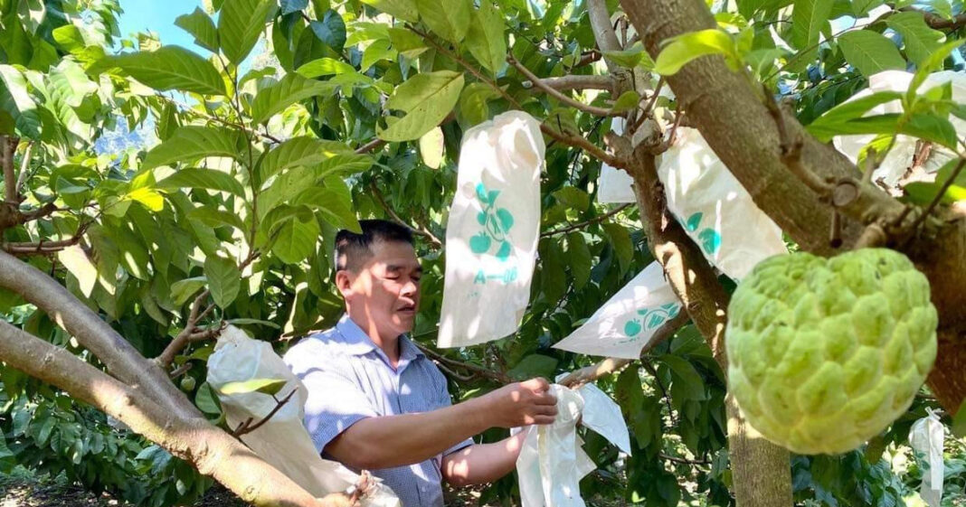 Xây dựng hợp tác xã ở Lạng Sơn