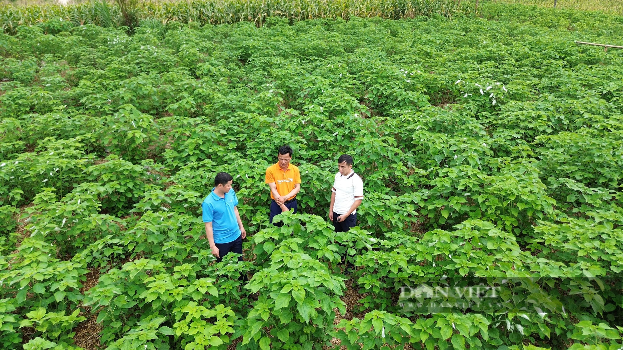 Đây là một xã của Hòa Bình đang nỗ lực hoàn thành các tiêu chí, dồn sức về đích nông thôn mới- Ảnh 2.