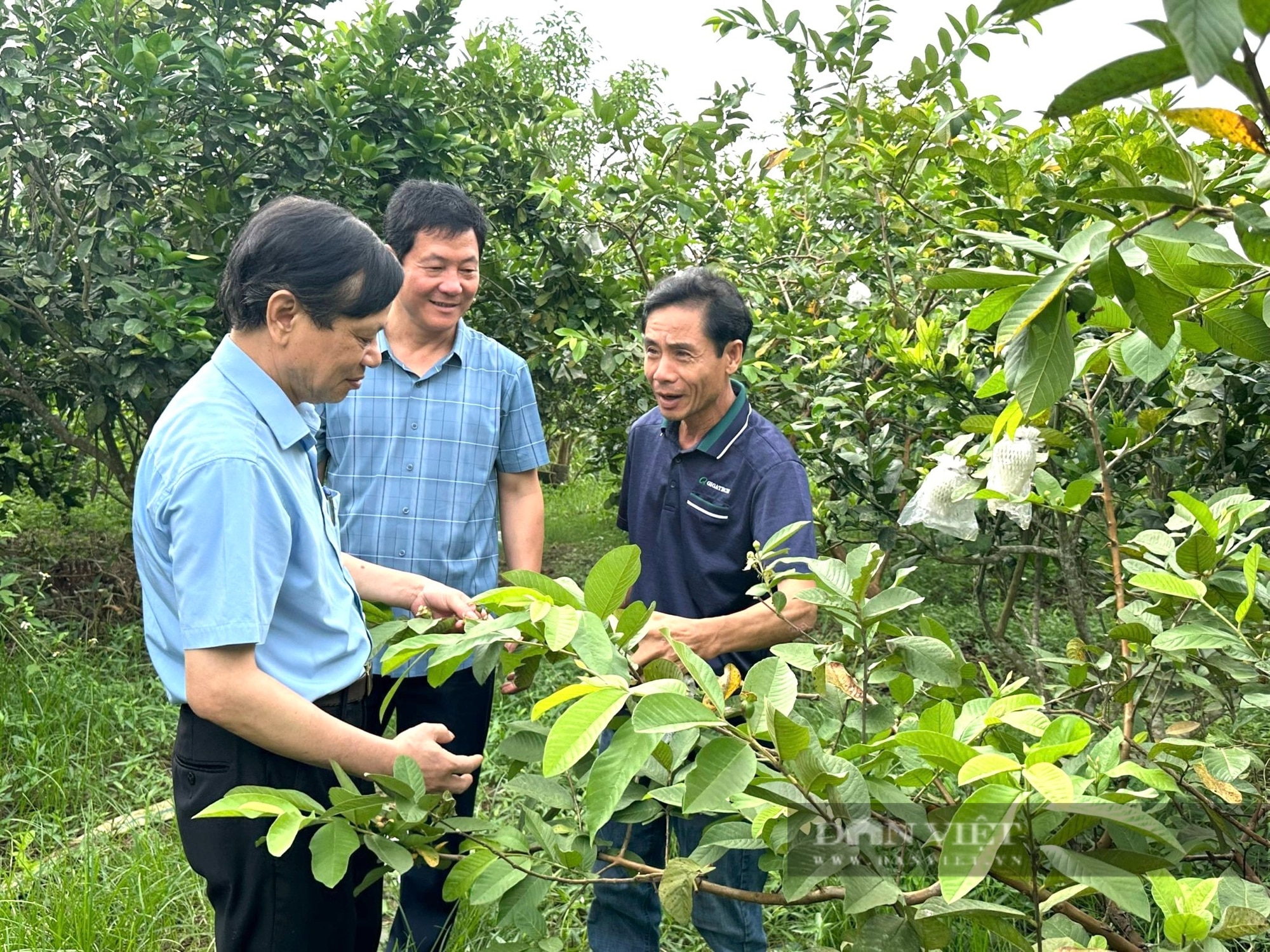 Ở một huyện của Thanh Hóa xuất hiện nhiều tỷ phú nông dân, có hộ nuôi chim gì mà thu 1 tỷ?- Ảnh 7.