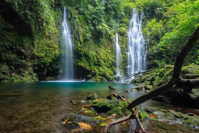 Những di sản nổi tiếng tại châu Á được UNESCO công nhận- Ảnh 3.