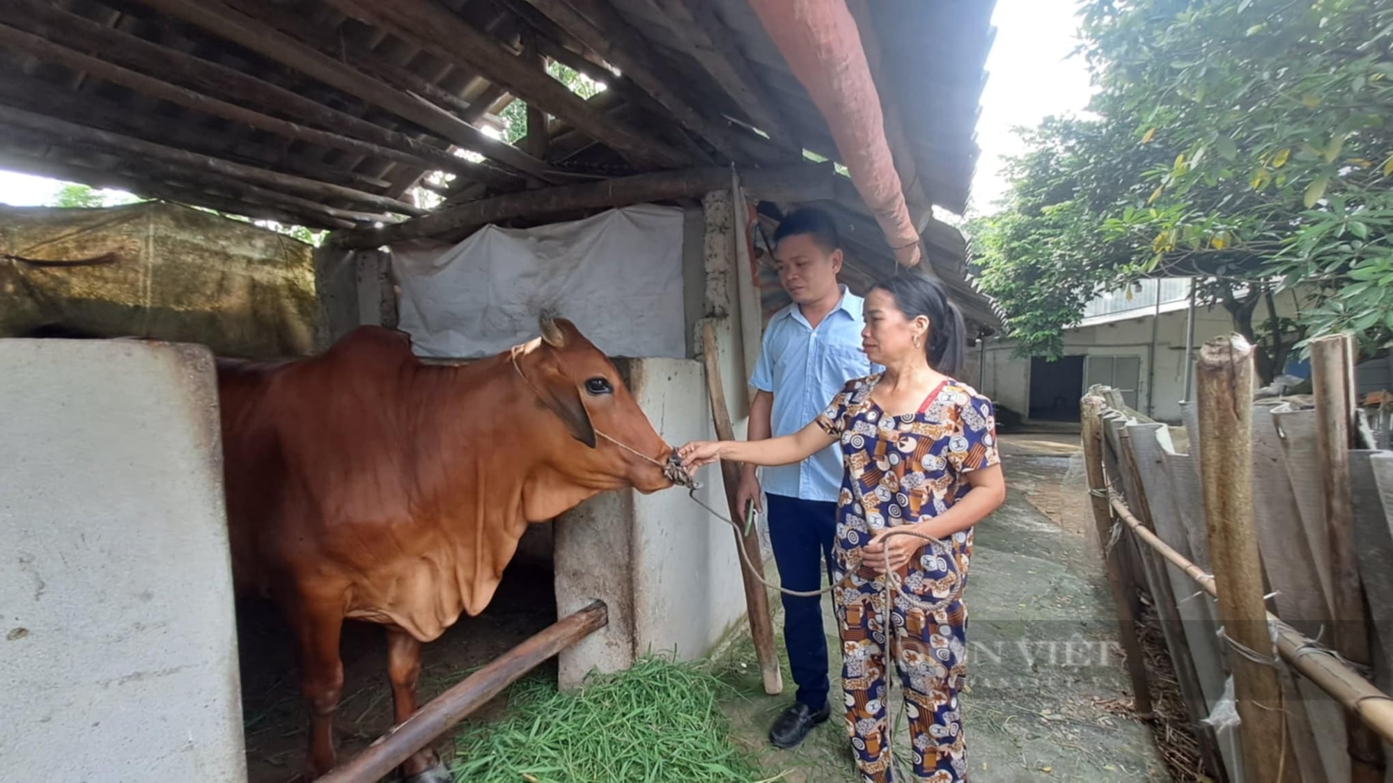 Thái Nguyên: TP Sông Công phân bổ hơn 1,7 tỷ đồng hỗ trợ giảm nghèo, phát triển sản xuất- Ảnh 2.