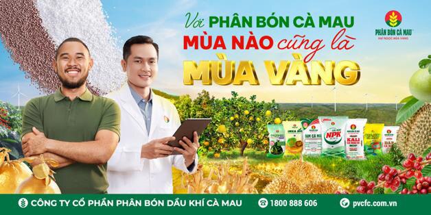 Với Phân Bón Cà Mau: Mùa nào cũng là mùa vàng- Ảnh 3.