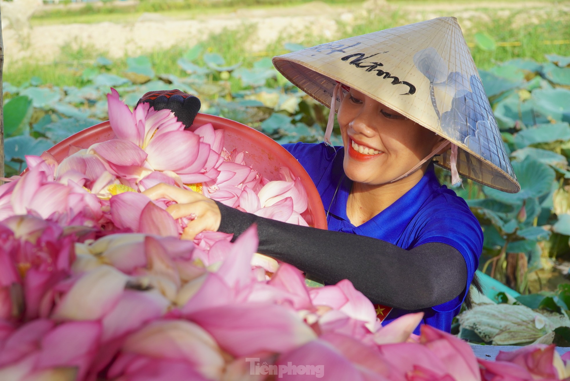 Ra đầm hái sen lúc rạng sáng, mỗi ngày thu tiền triệu ảnh 4