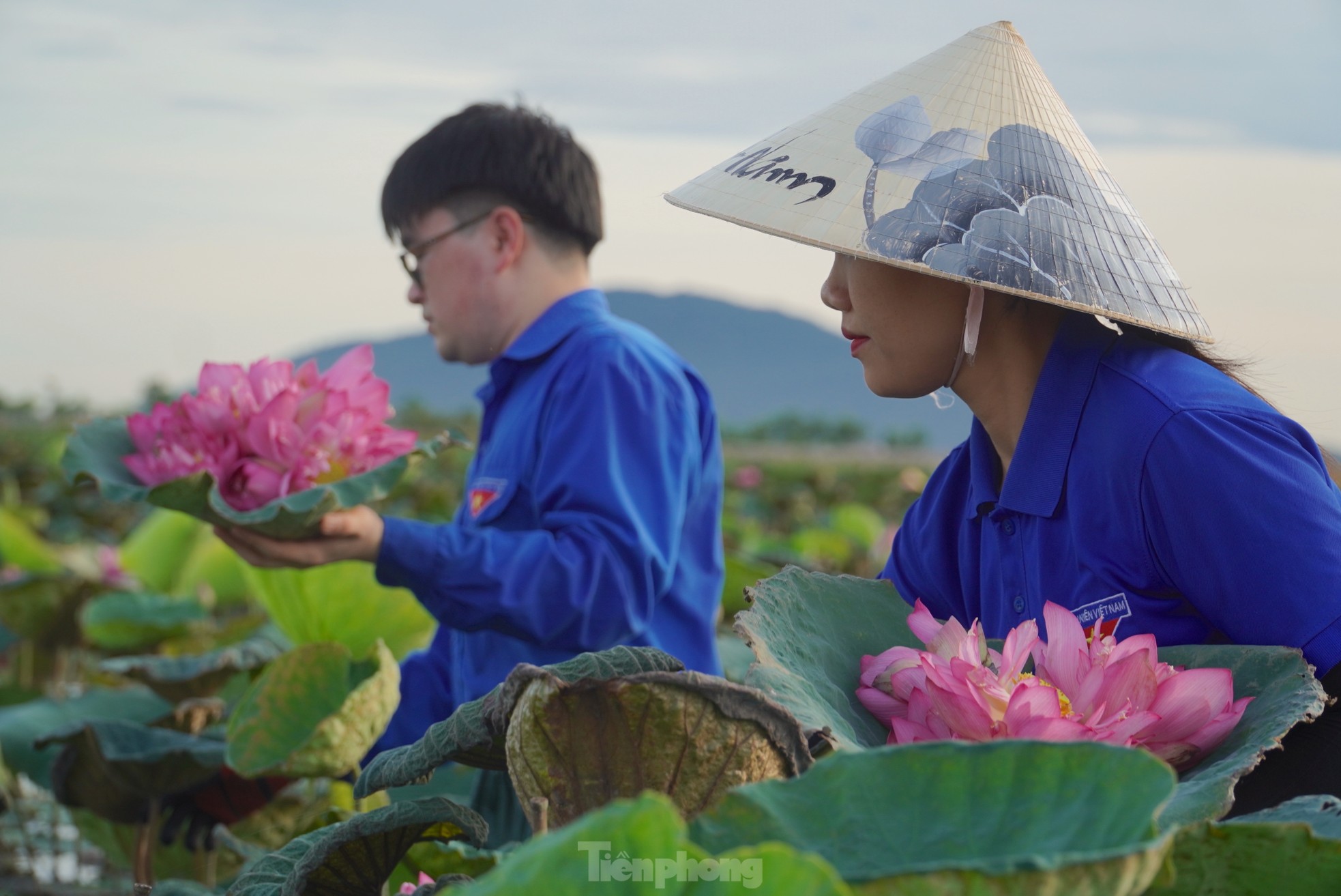 Ra đầm hái sen lúc rạng sáng, mỗi ngày thu tiền triệu ảnh 8