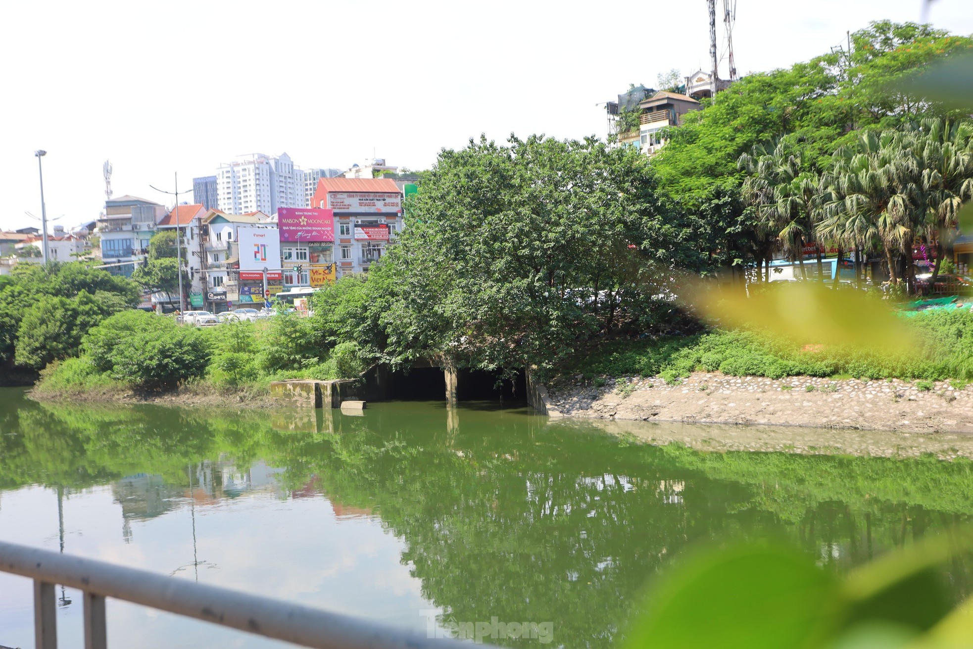 Nước chuyển màu xanh như nước Hồ Gươm, sông Tô Lịch bỗng 'nên thơ, trữ tình' ảnh 3