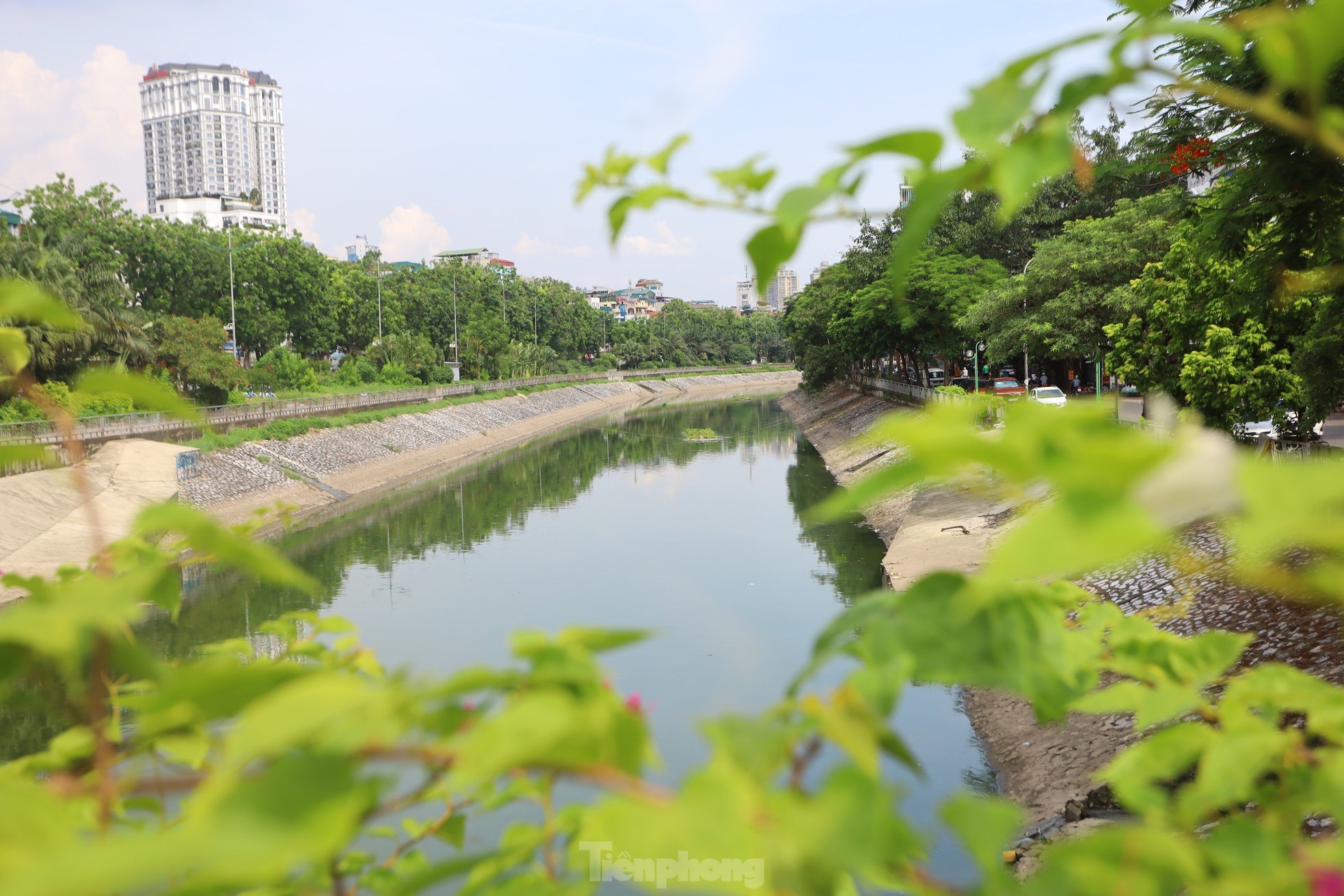 Nước chuyển màu xanh như nước Hồ Gươm, sông Tô Lịch bỗng 'nên thơ, trữ tình' ảnh 11