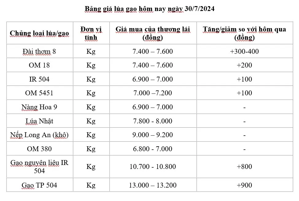 Giá lúa gạo hôm nay ngày 30/7: Giá lúa tăng 100-300 đồng/kg;