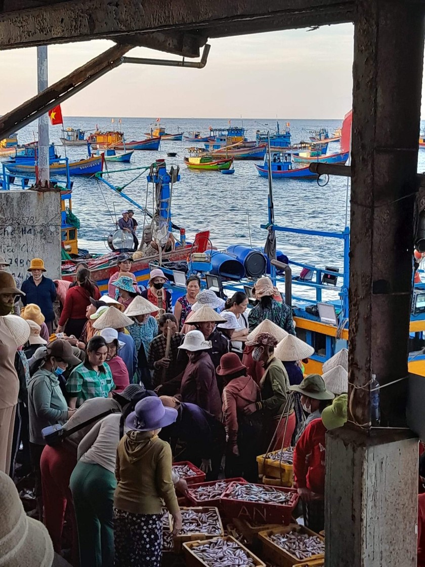 Quang cảnh các thương lái tới mua buôn các mẻ cá, tôm của ngư dân sau chuyến đi biển tại cảng cá Nhơn Lý.