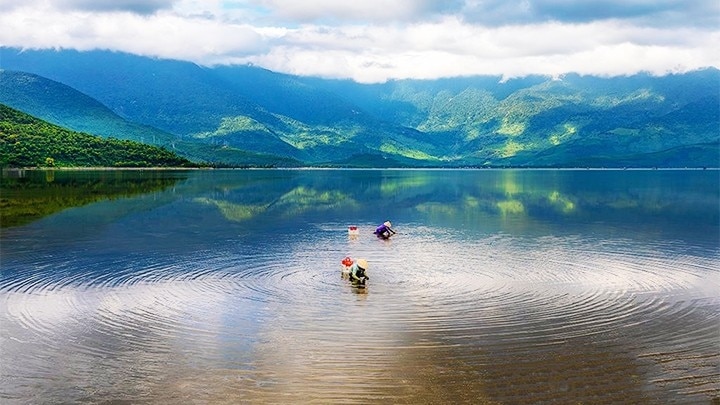 Một đầm nước lợ đẹp như phim ở TT-Huế la liệt con đặc sản, sao dân phàn nàn chả còn yên tĩnh?- Ảnh 2.