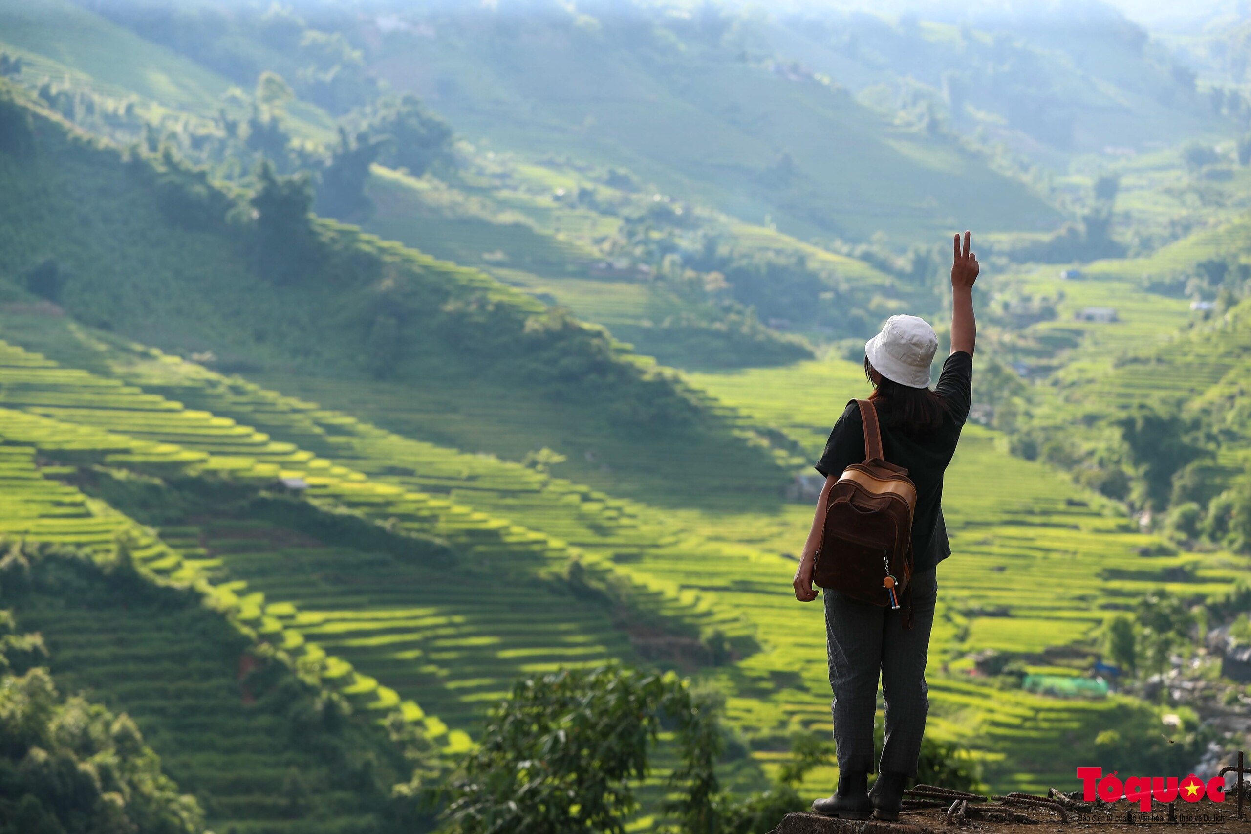 Mùa lúa non xanh mướt trên ruộng bậc thang Sa Pa - Ảnh 20.