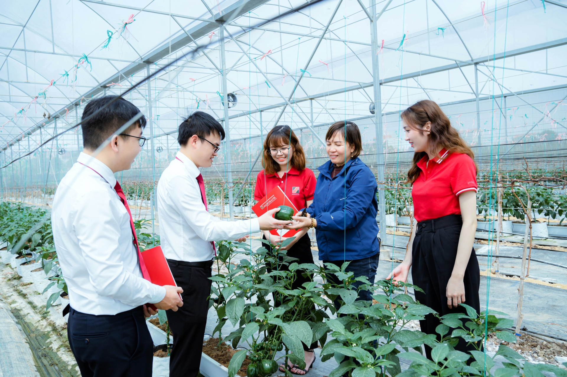 agribank dong hanh thao go kho khan day manh cung ung von nen kinh te hinh 1