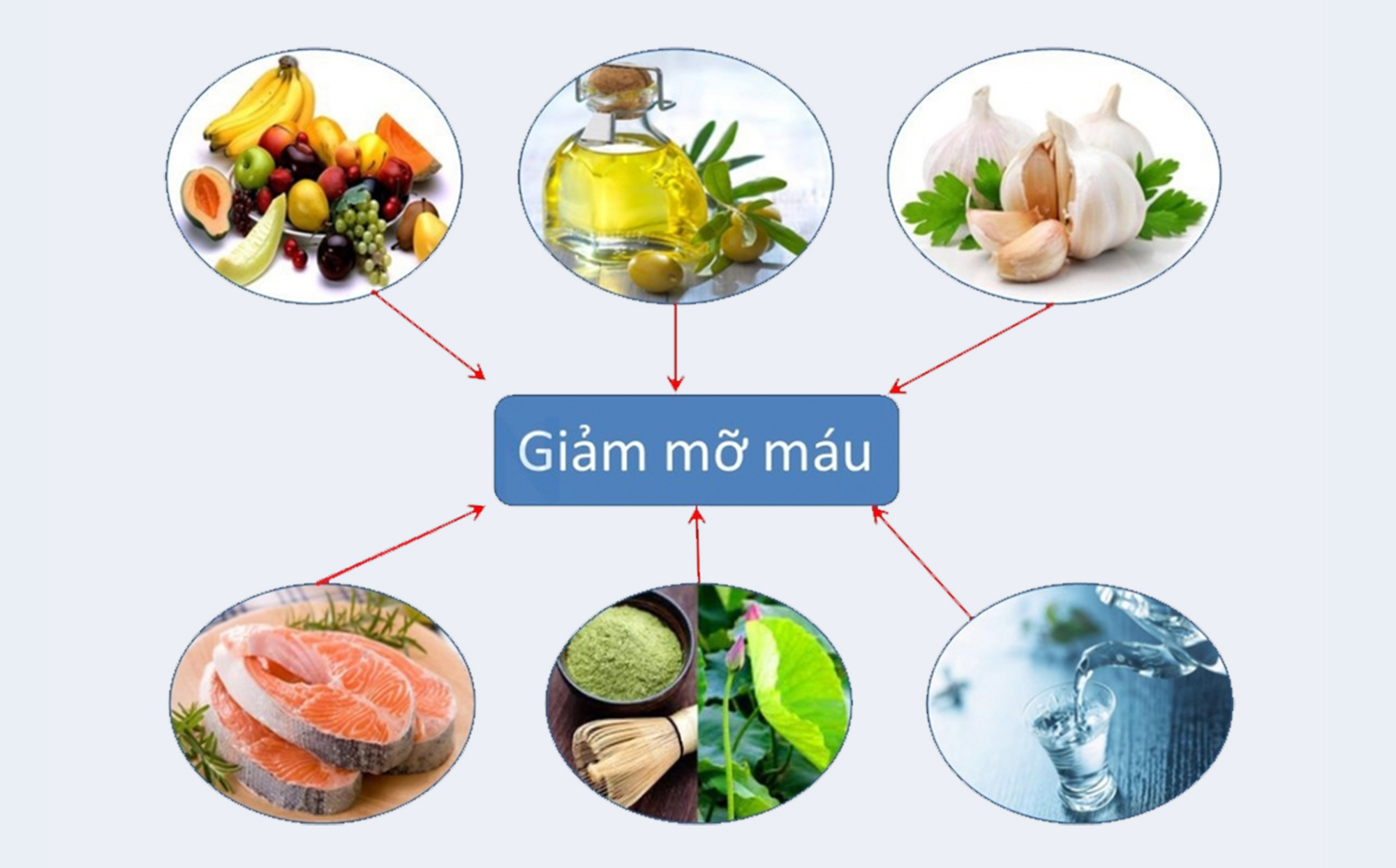 Ăn gì để giảm mỡ xấu trong máu?- Ảnh 1.