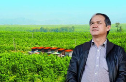 Bau Duc Cuong Dola 5.jpg
